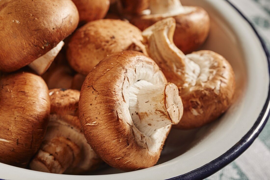 Fresh, brown mushrooms in an enamel bowl (close-up)