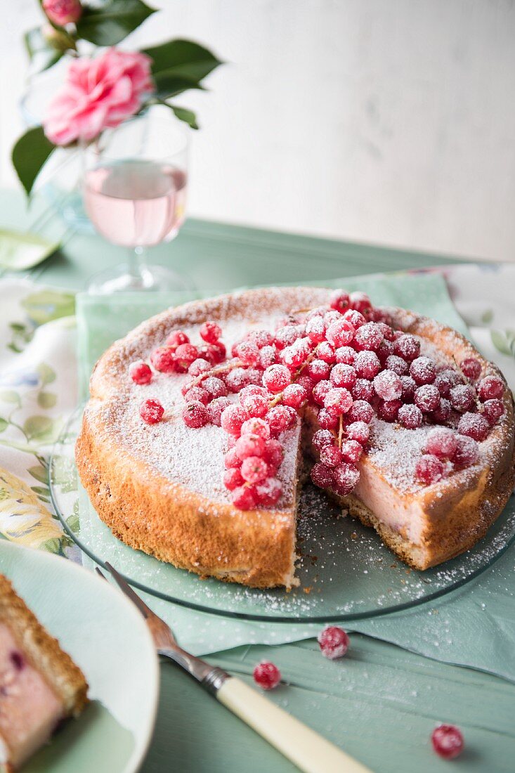 Käsekuchen mit roten Johannisbeeren und Zucker, angeschnitten