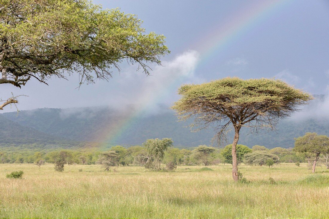 A rainbow in the Serengeti Wildlife Reserve, Tanzania, Africa