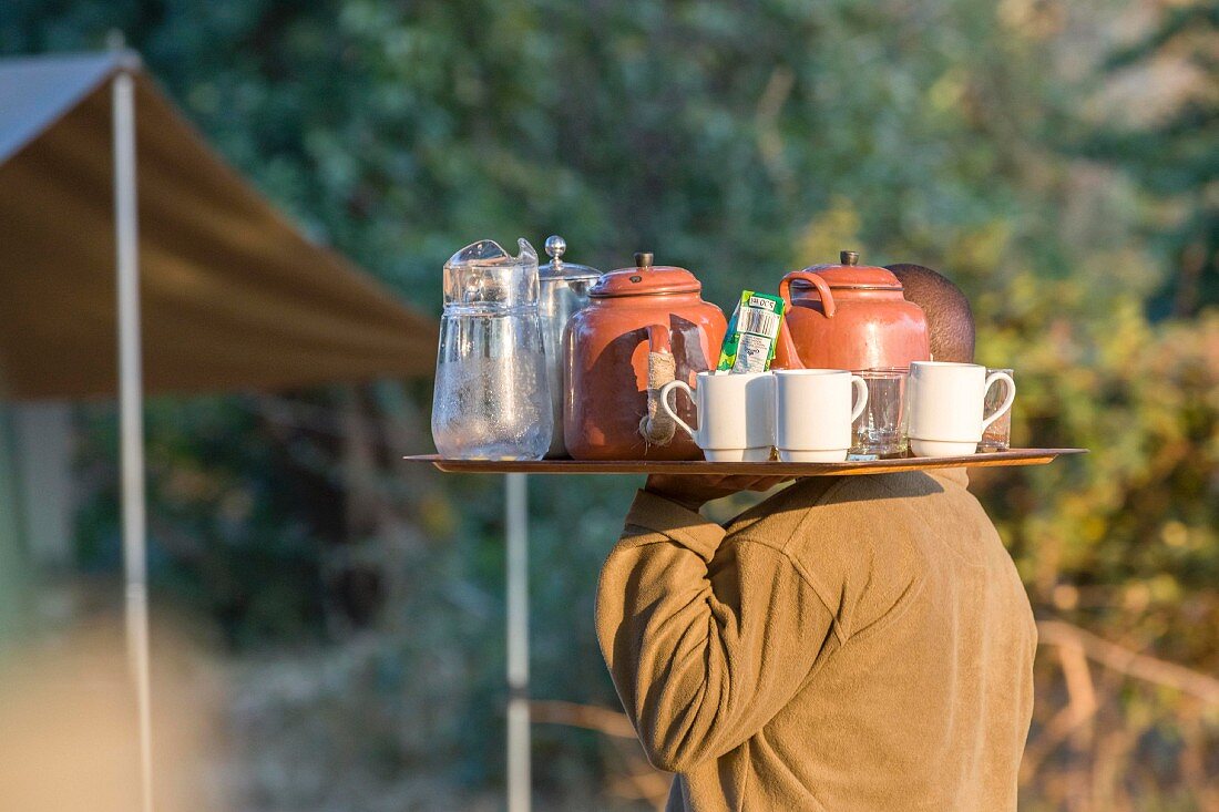 Tea time on a walking safari, Zambia, Africa