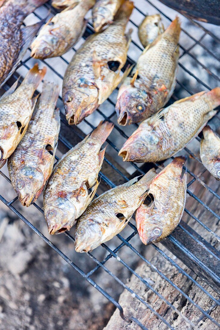 Gegrillte Fische auf Grillrost, Sambia, Afrika