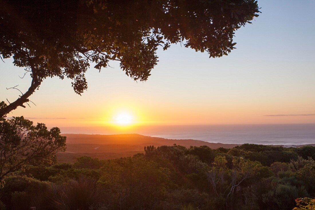 Sonnenuntergang im Grootbos Naturreservat (Südafrika)
