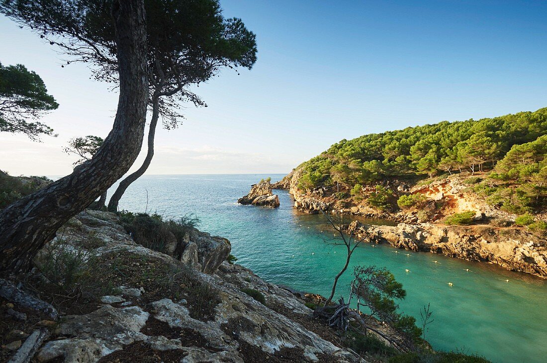 Bucht Cala Falco, Mallorca, Spanien