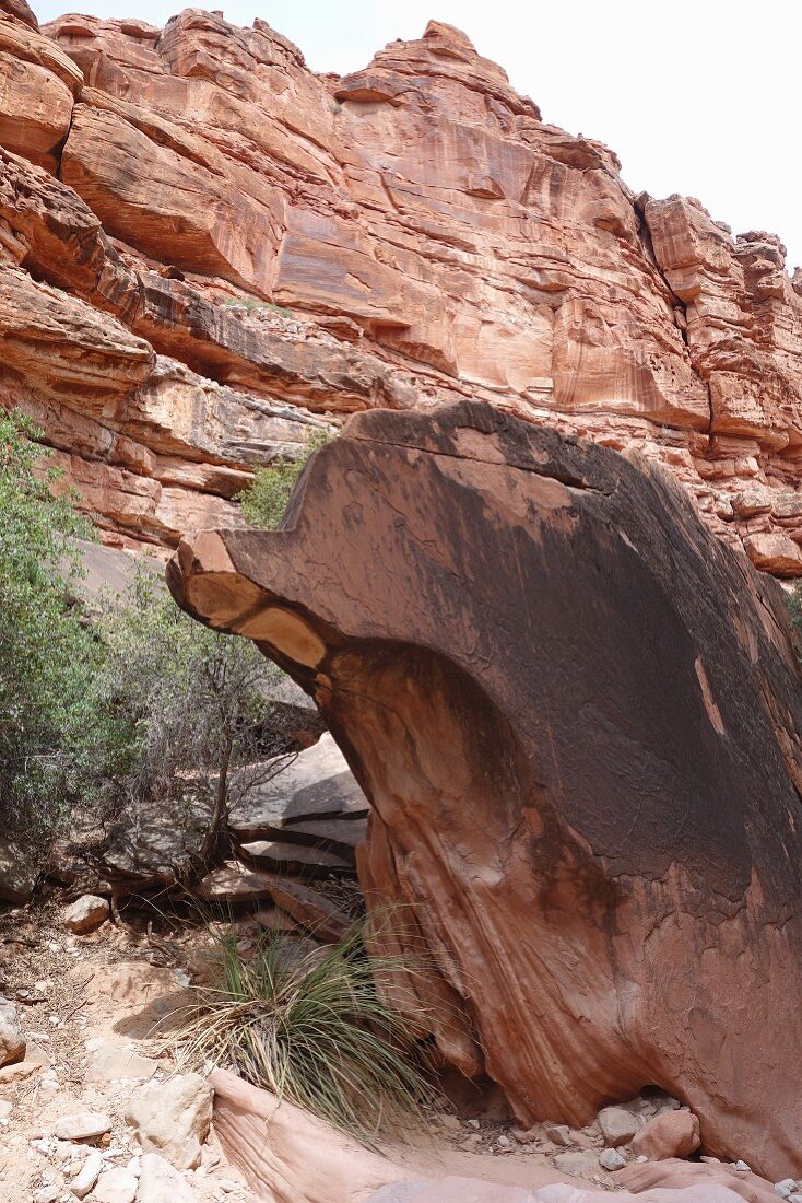 A rocky outcrop in the Grand Canyon (Arizona, USA)