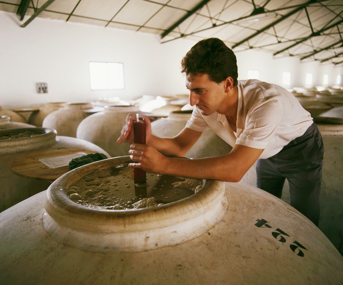 Überwachung der Wein-Fermentation in Alvear, Andalusien
