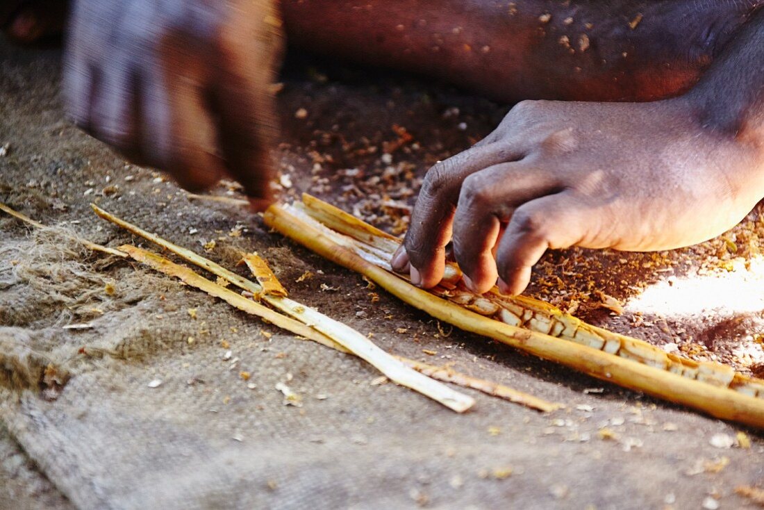 Cinnamon sticks being made (Sri Lanka)