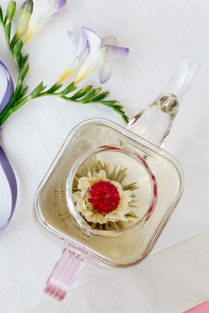 Teeblume in einer Glasteekanne (Draufsicht)