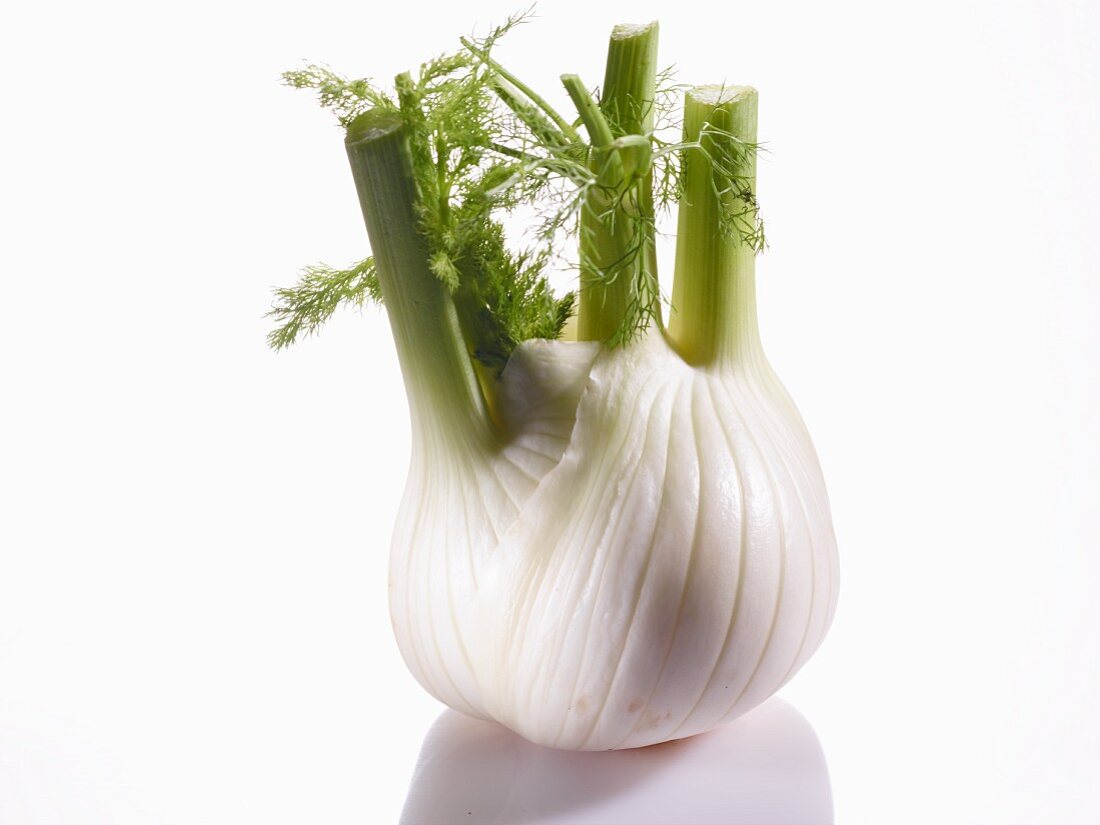 A fennel bulb