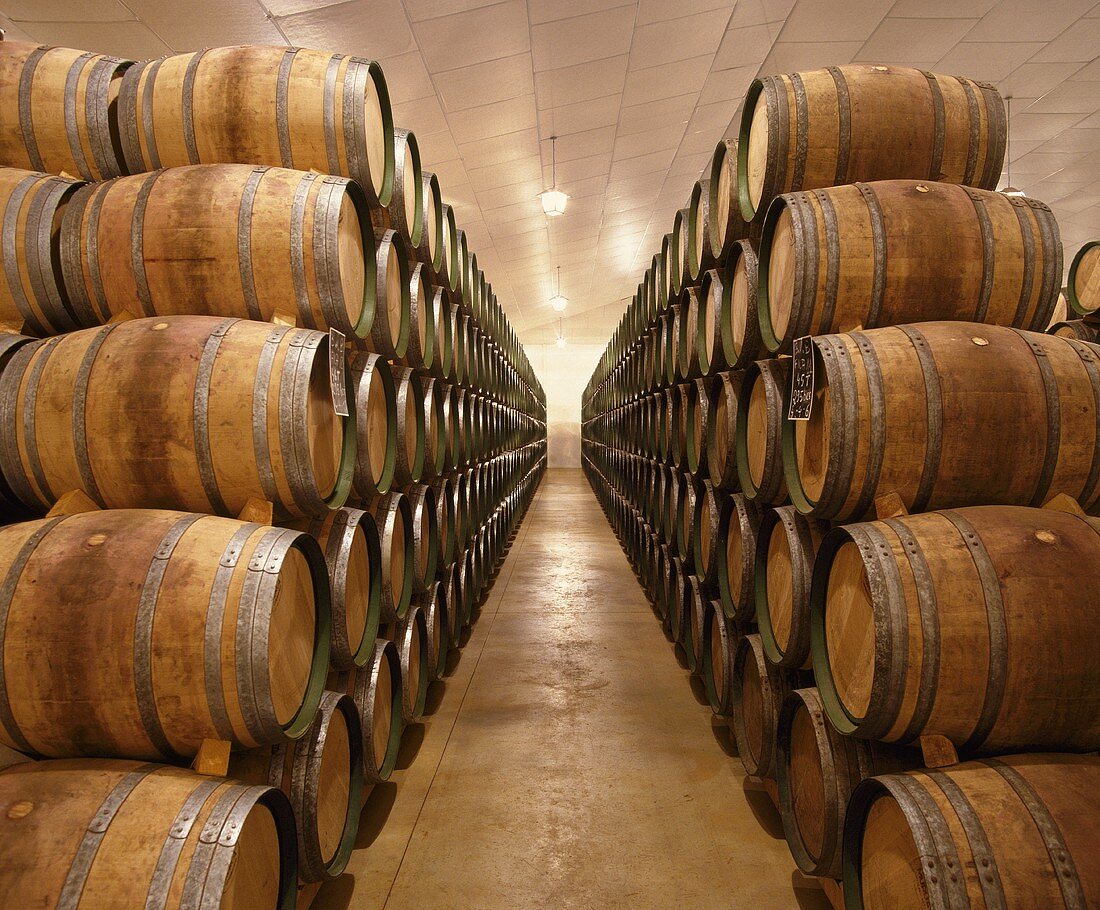 Wein reift in Fässern der Guts Martinez Bujanda,Rioja,Spanien