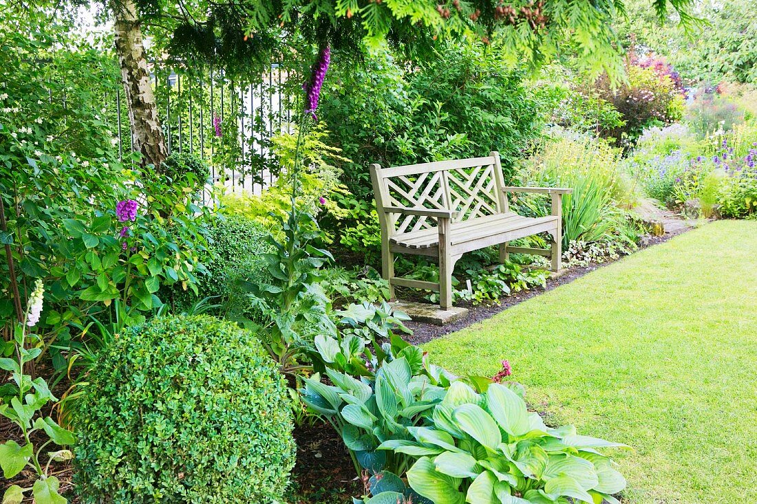 Wooden garden bench in herbaceous border in summery garden