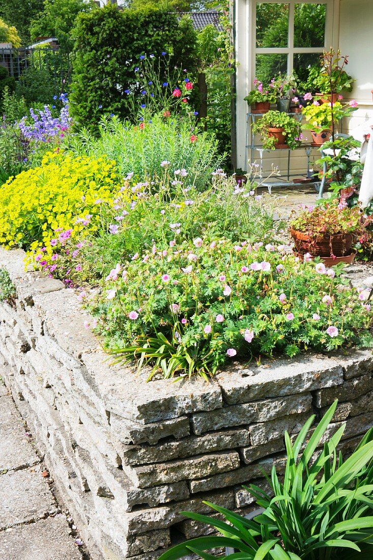 Stone wall and flowering perennials in corner of terrace