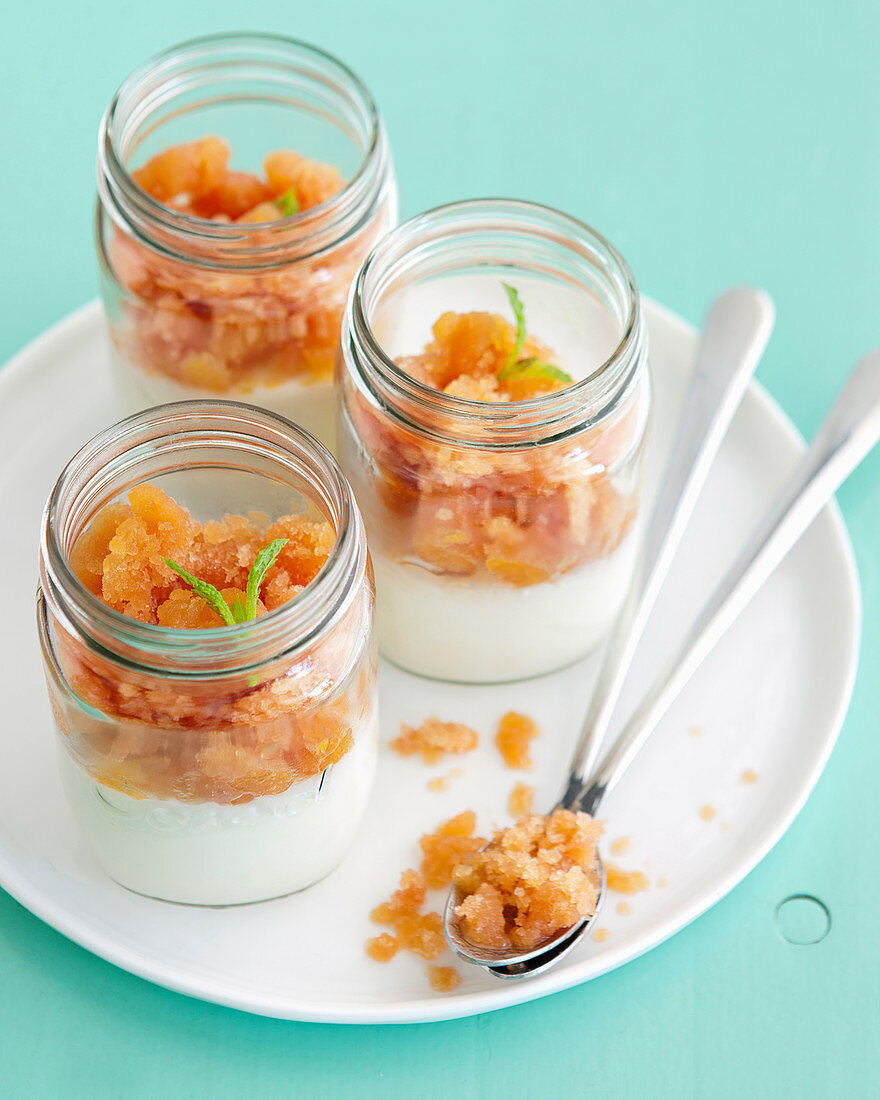 Yoghurt jelly with prickly pear granita