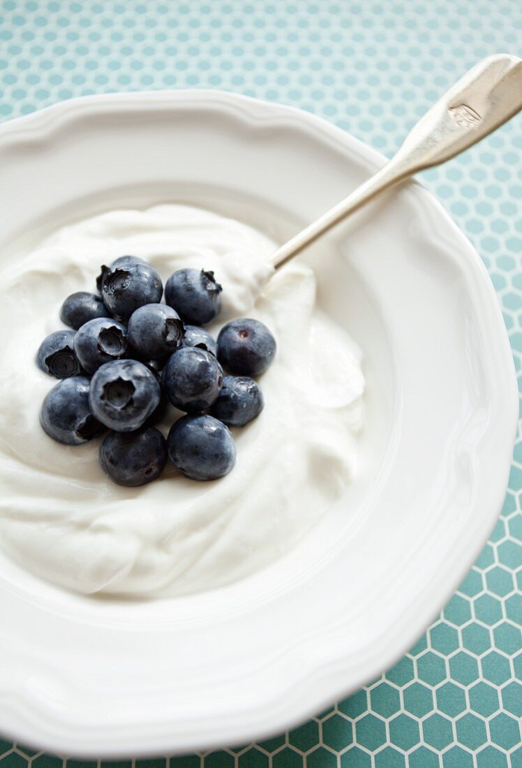 Vanillejoghurt mit Heidelbeeren auf blauem gemusterten Hintergrund