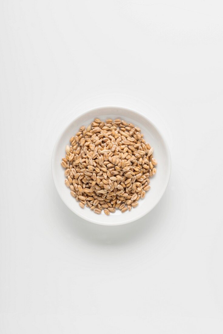 A bowl of brewer's wheat