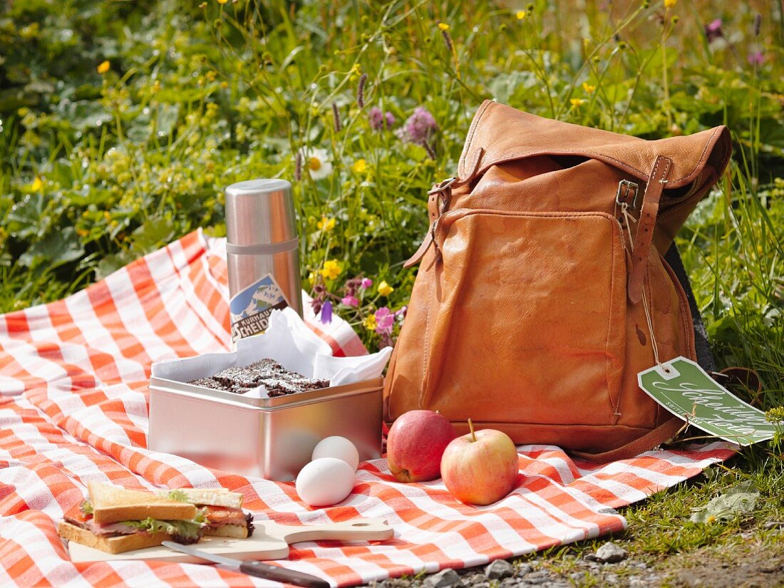 A picnic in the Bernese Oberland, Switzerland