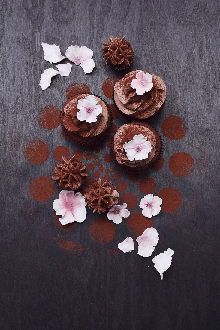 Cupcakes decorated with white sugar flowers