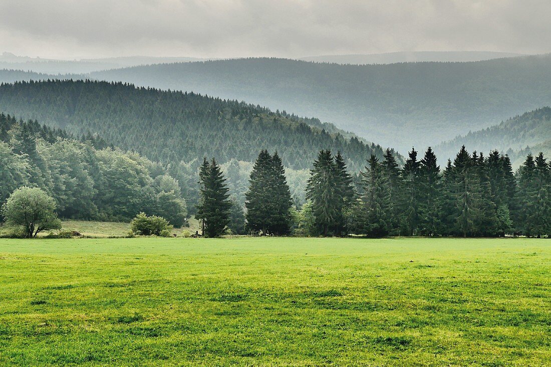 Thüringer Wald im Morgendunst, Vessertal, Thüringen, Deutschland