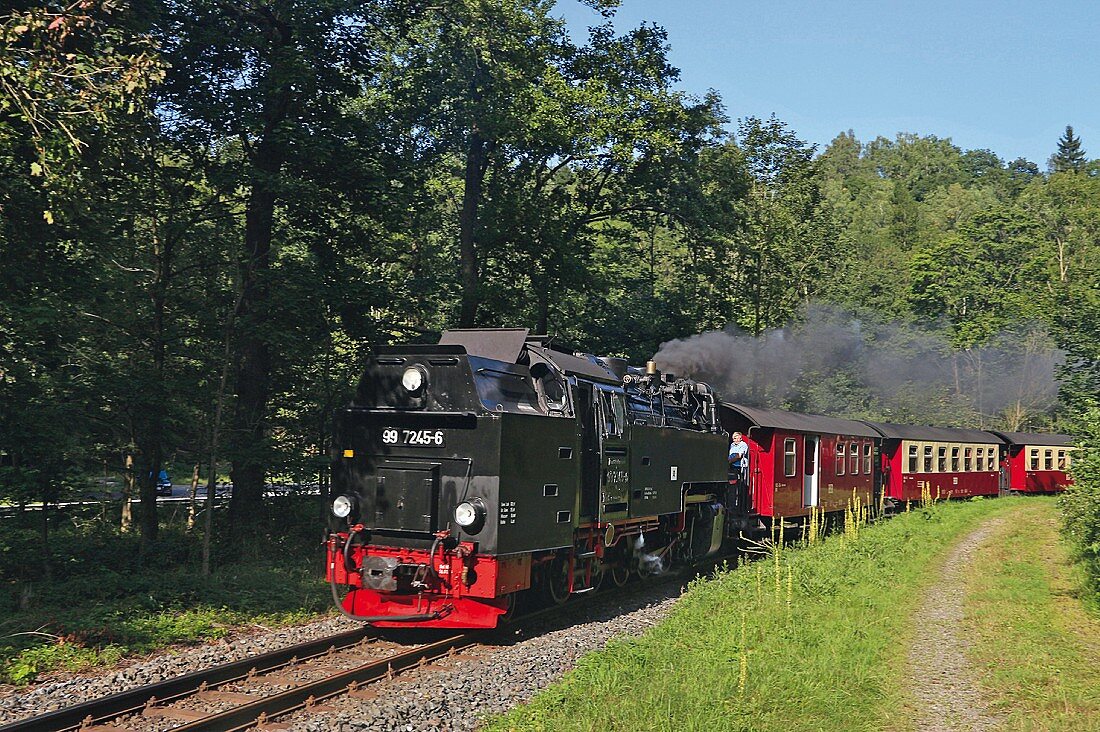Harzbahn railway, Südharz, Thuringia, Germany