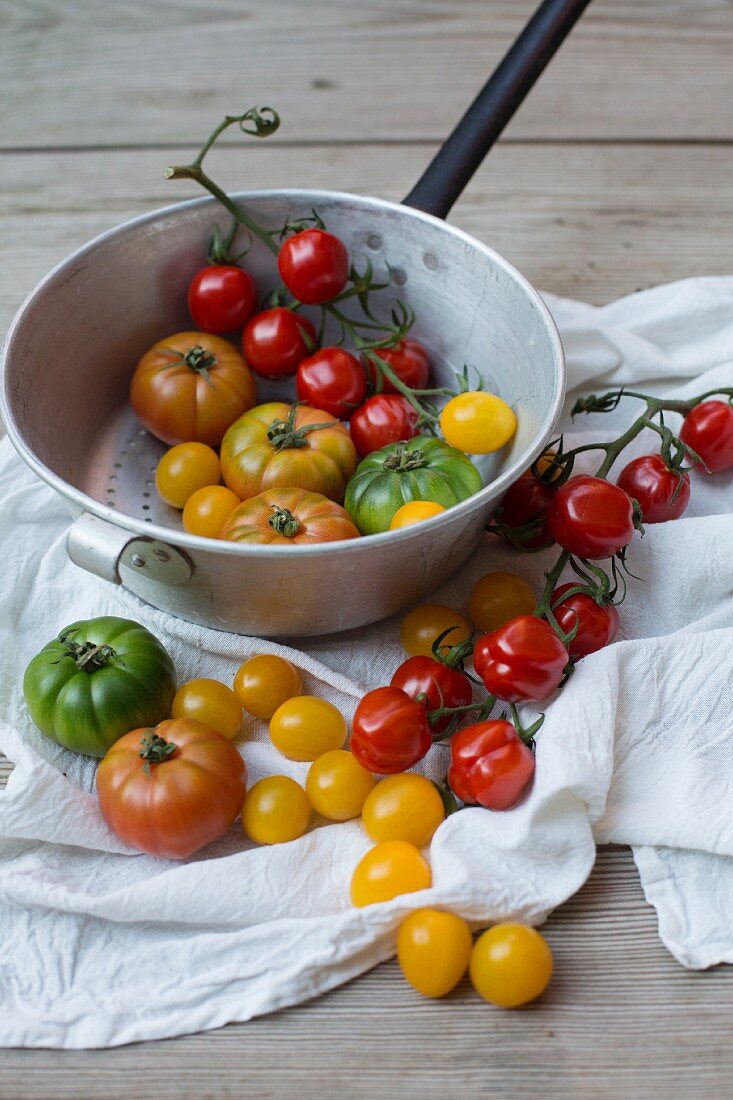 Bunte Tomaten im Stieltopf und auf weißem Tuch
