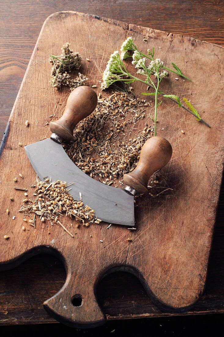 Yarrow powder à la Hildegard von Bingen being made