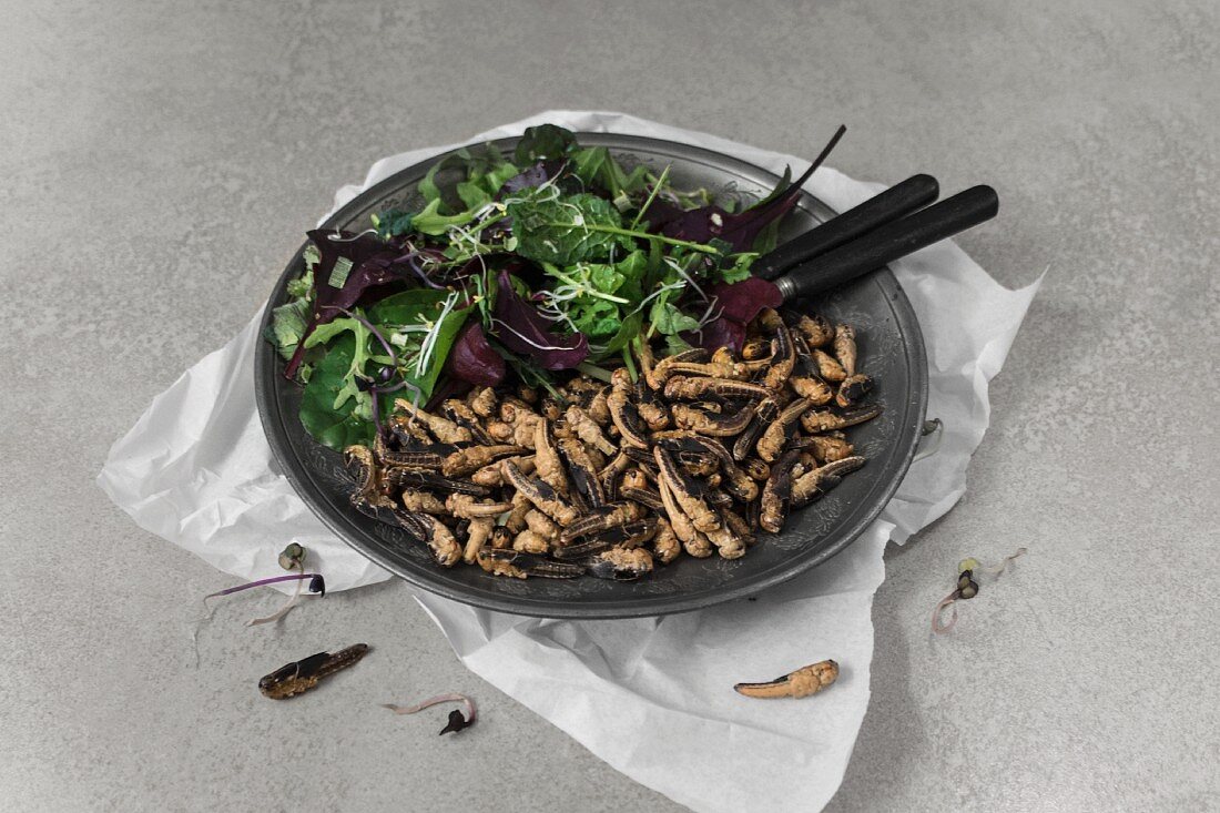 Fried grasshoppers and a mixed leaf salad on a metal plate