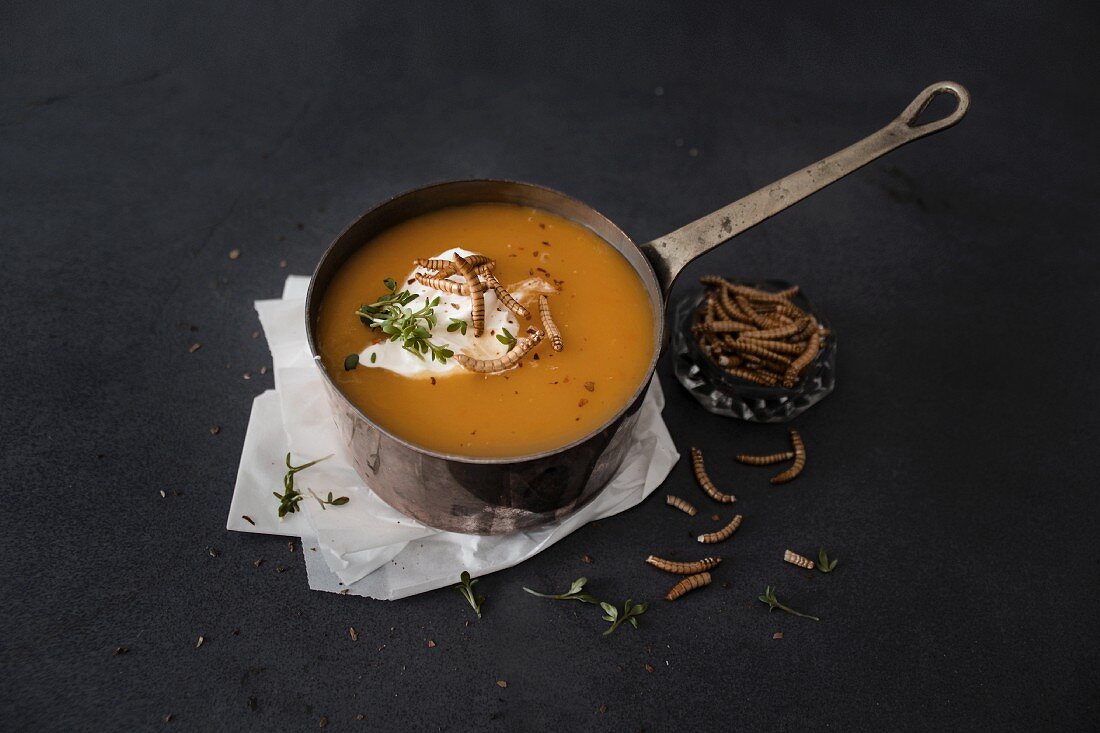 Kürbissuppe mit Frischkäse und krossen Mehlwürmern