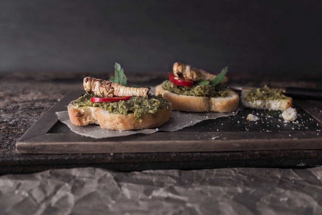 Grilled bread with pesto and grasshoppers