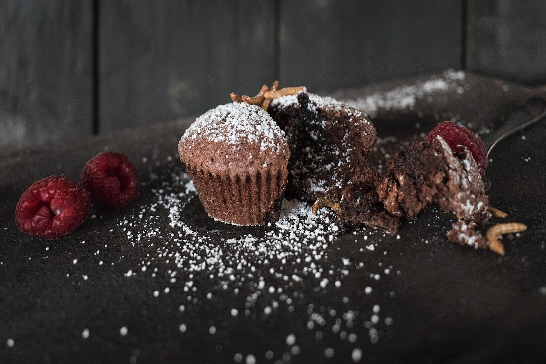Schokoladenmuffins mit Mehlwurm Topping