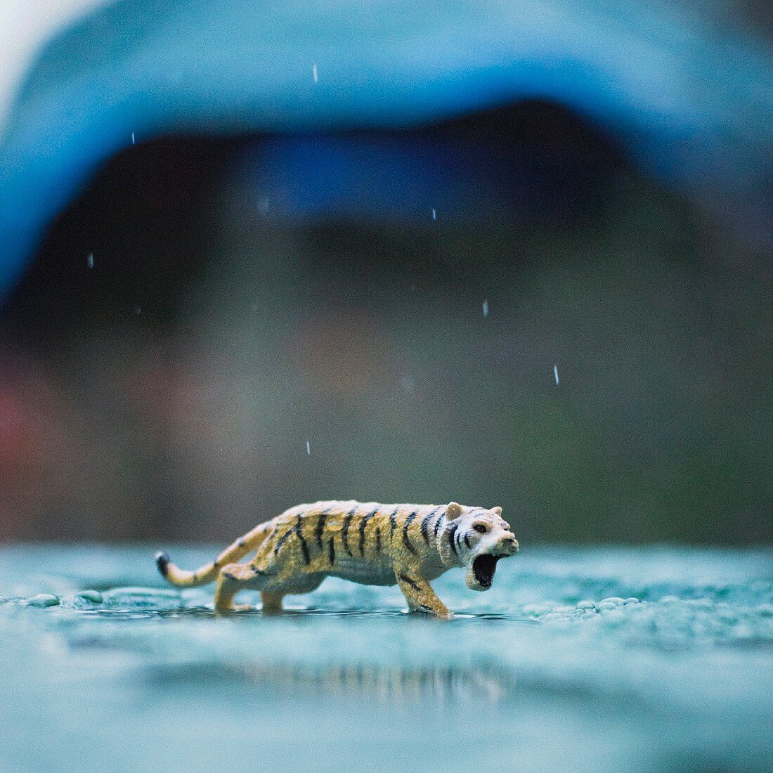 Spielzeugtiger im Regen