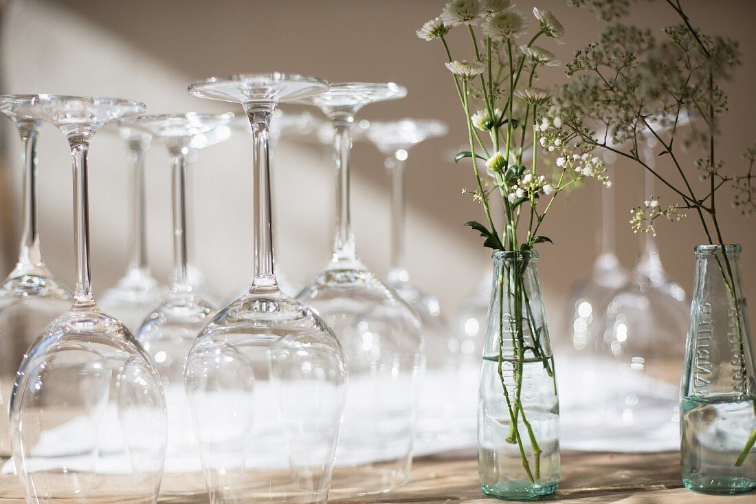 Wine glasses and white flowers