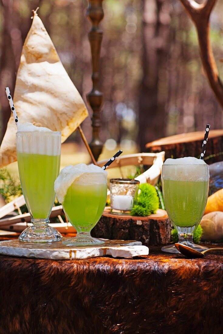 Lime Spiders: Mocktail mit Limettensaft, Vanilleeis und Soda auf Tisch im Wald