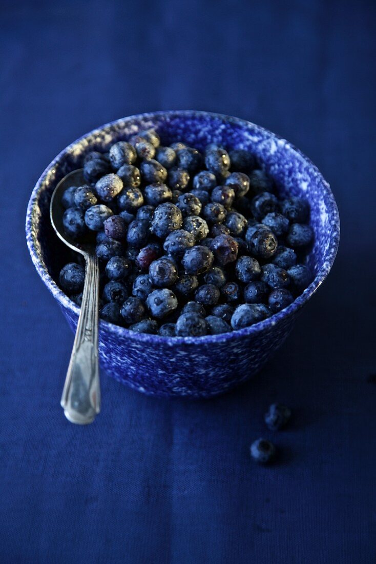 Blackberries in a blue ceramic bowl on a blue surface
