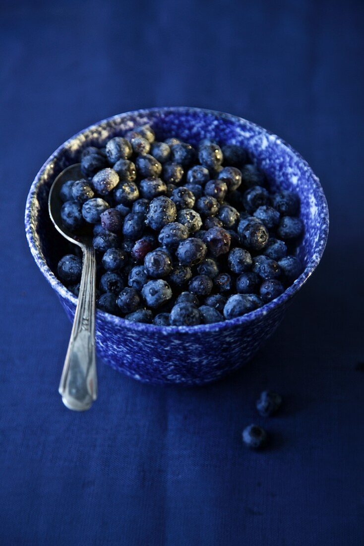 Blaubeeren in blauer Keramikschale auf blauem Untergrund