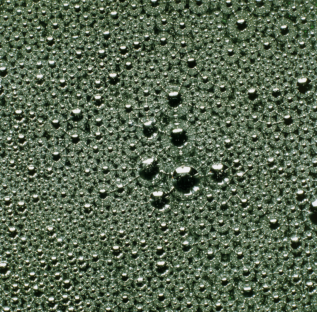 Droplets of mercury