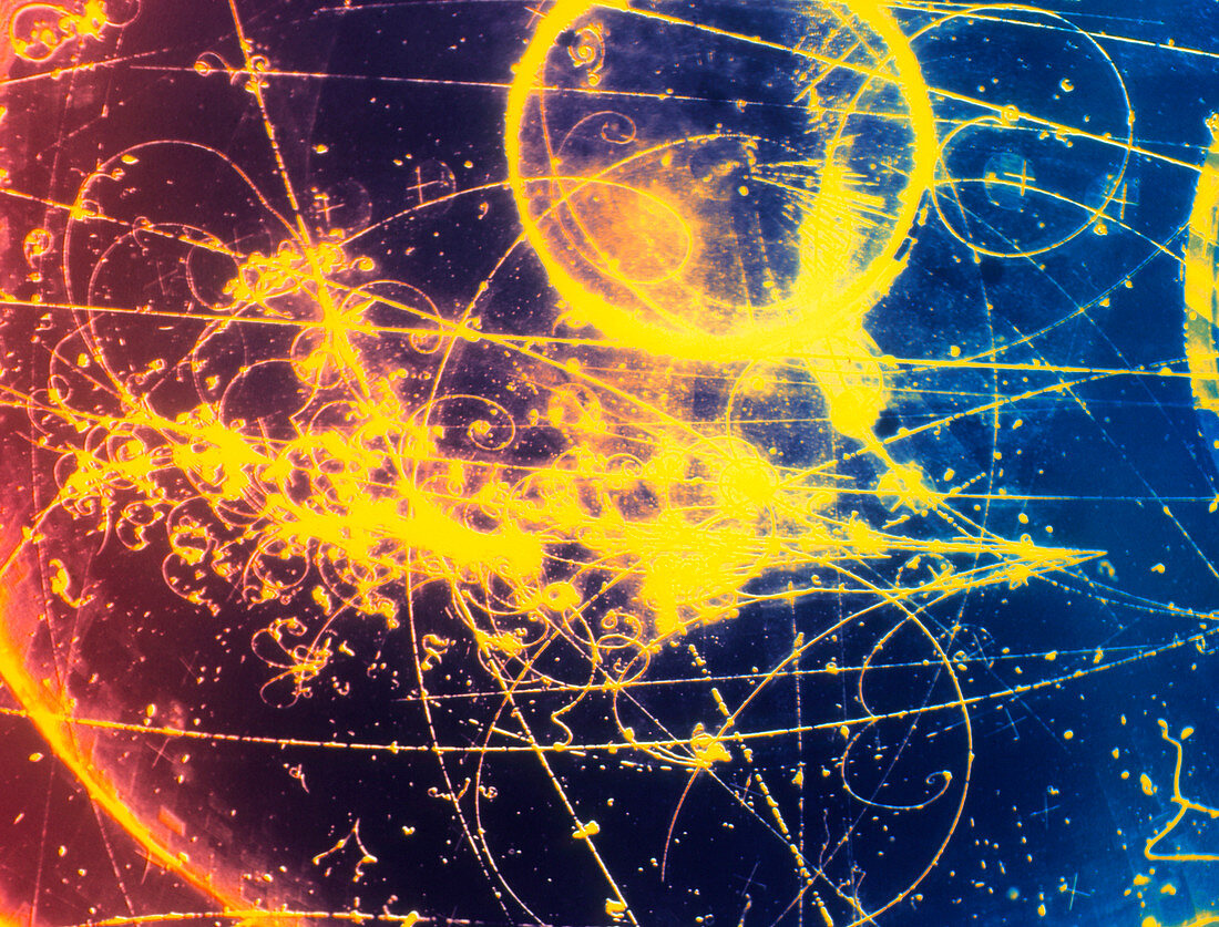 Bubble chamber image of neutrino event