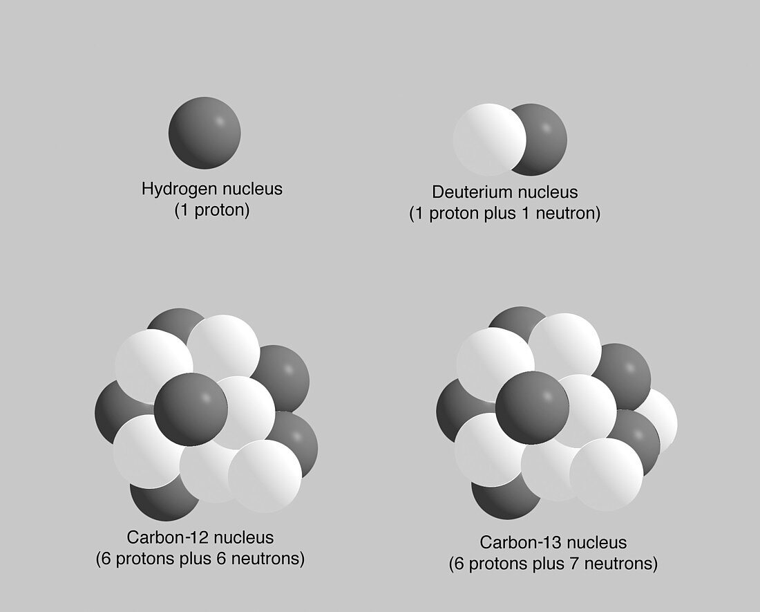 Isotopes of carbon and hydrogen