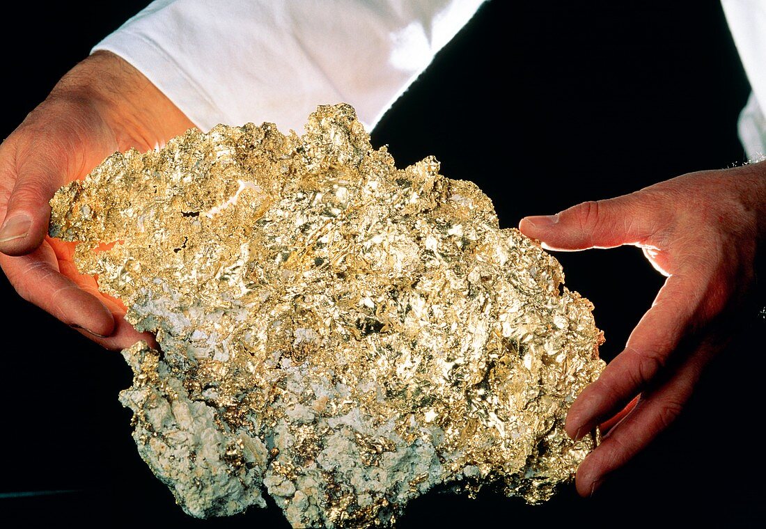Hands holding rock containing native gold