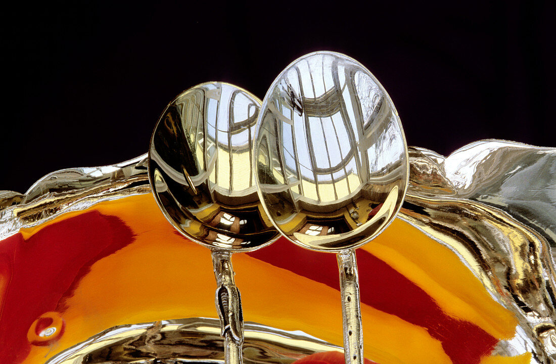 Reflections in a pair of spoons