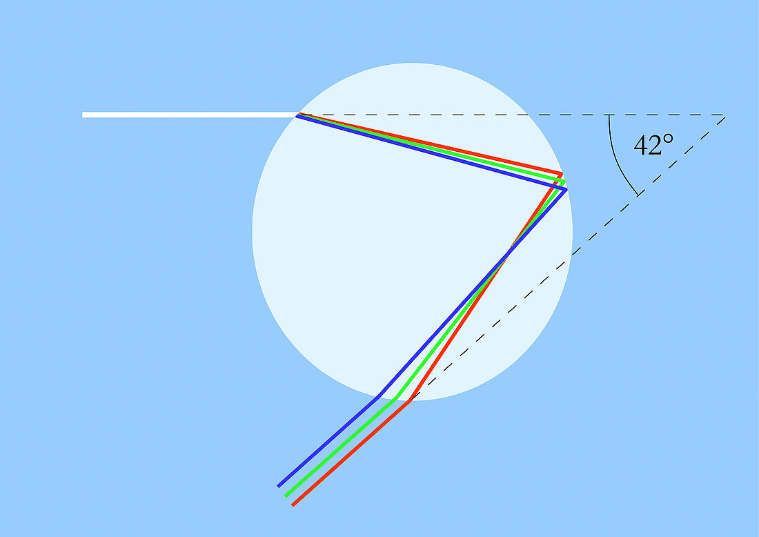 Raindrop optics for rainbow formation
