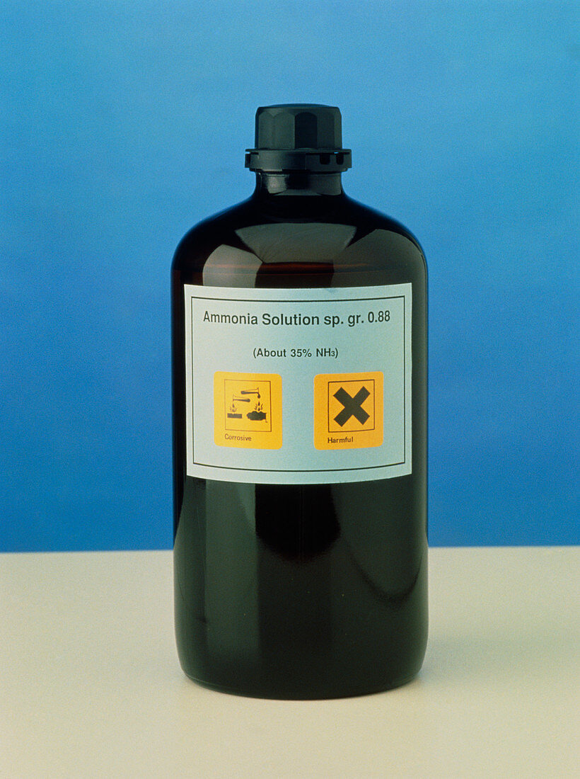 Bottle of ammonia solution