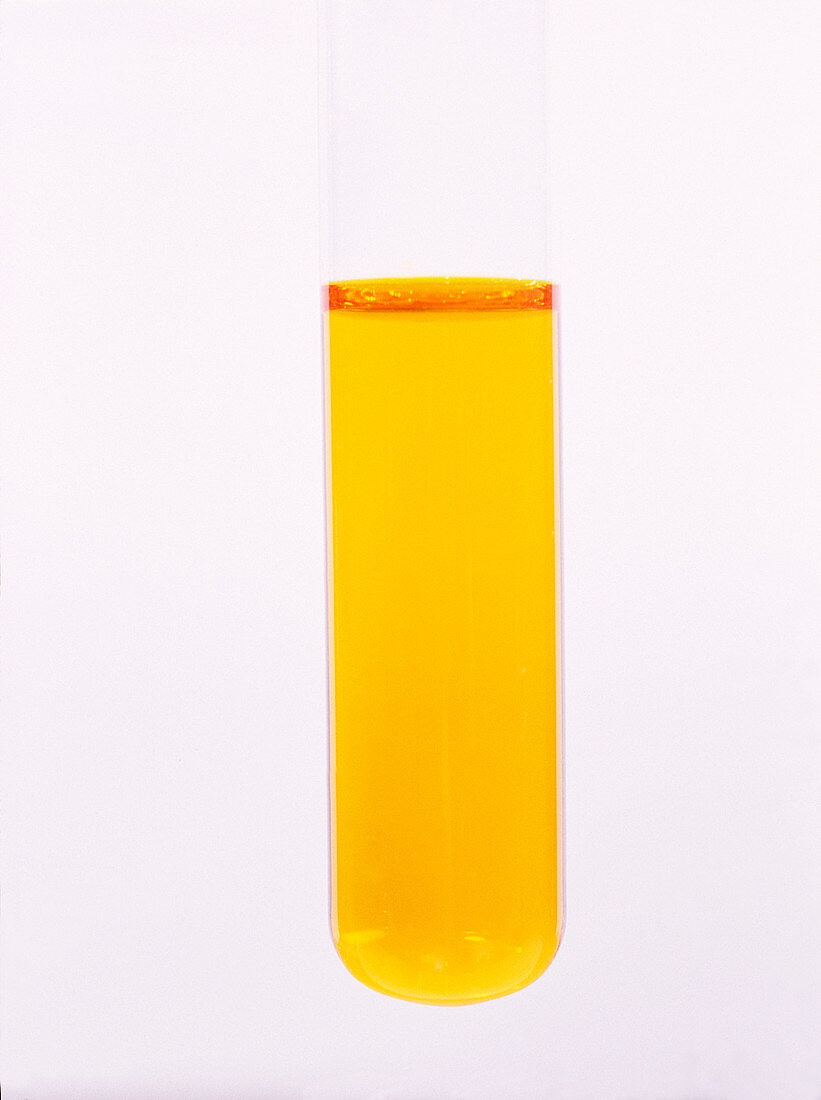 Potassium dichromate solution