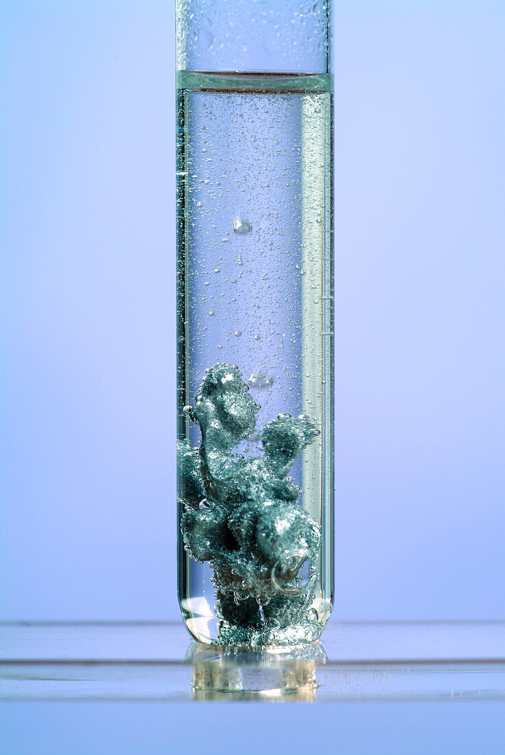 Zinc reacting with sulphuric acid