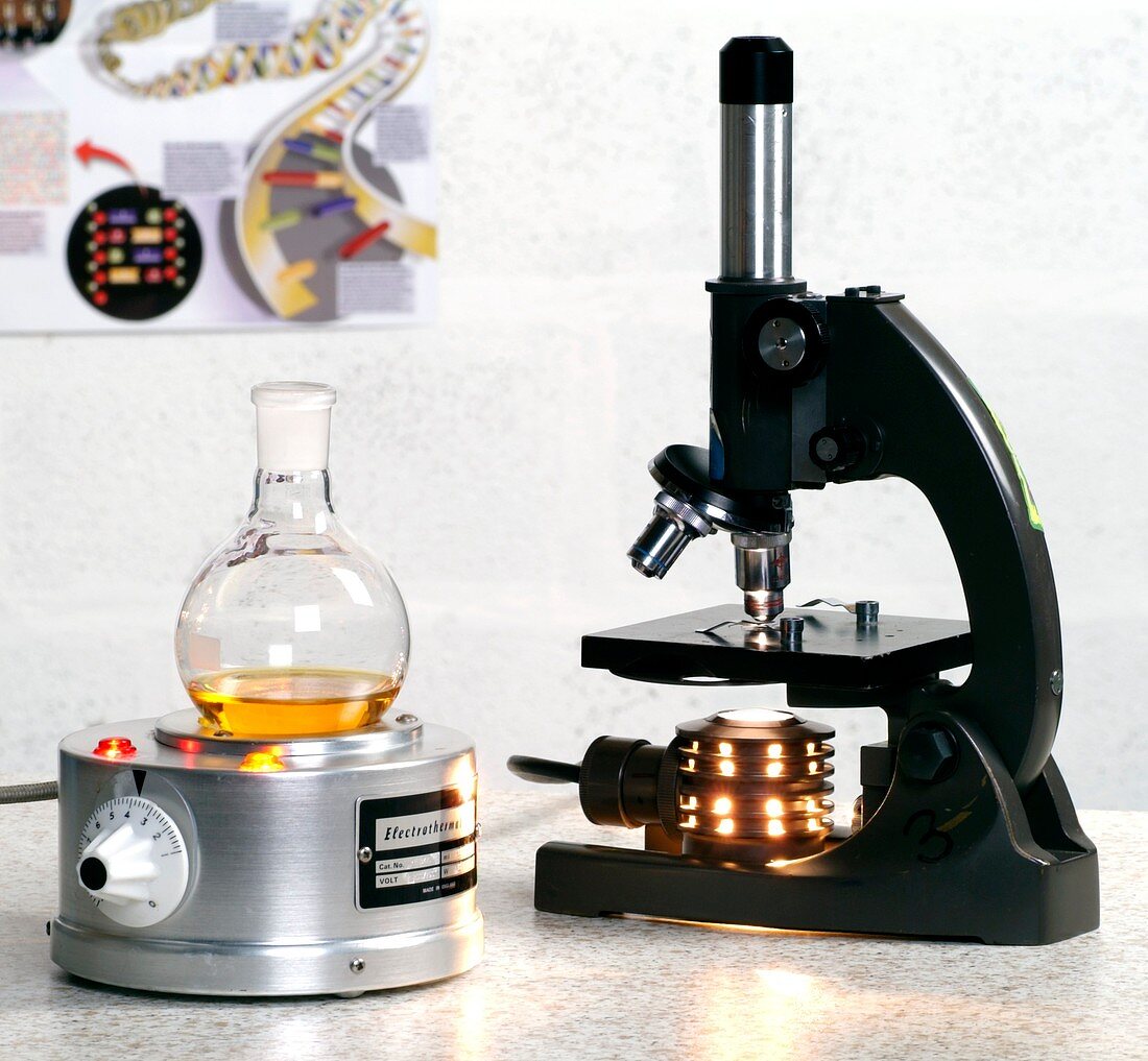 Heating mantle and light microscope