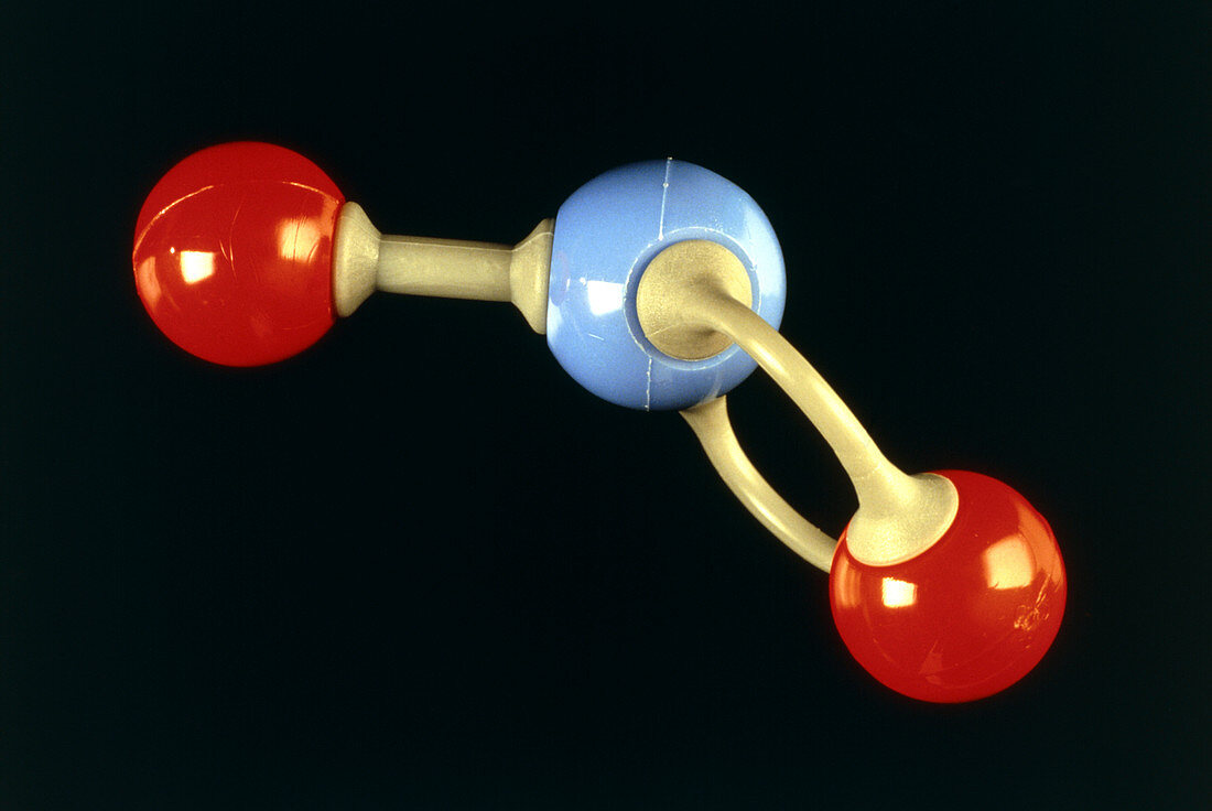 Nitrogen dioxide molecule