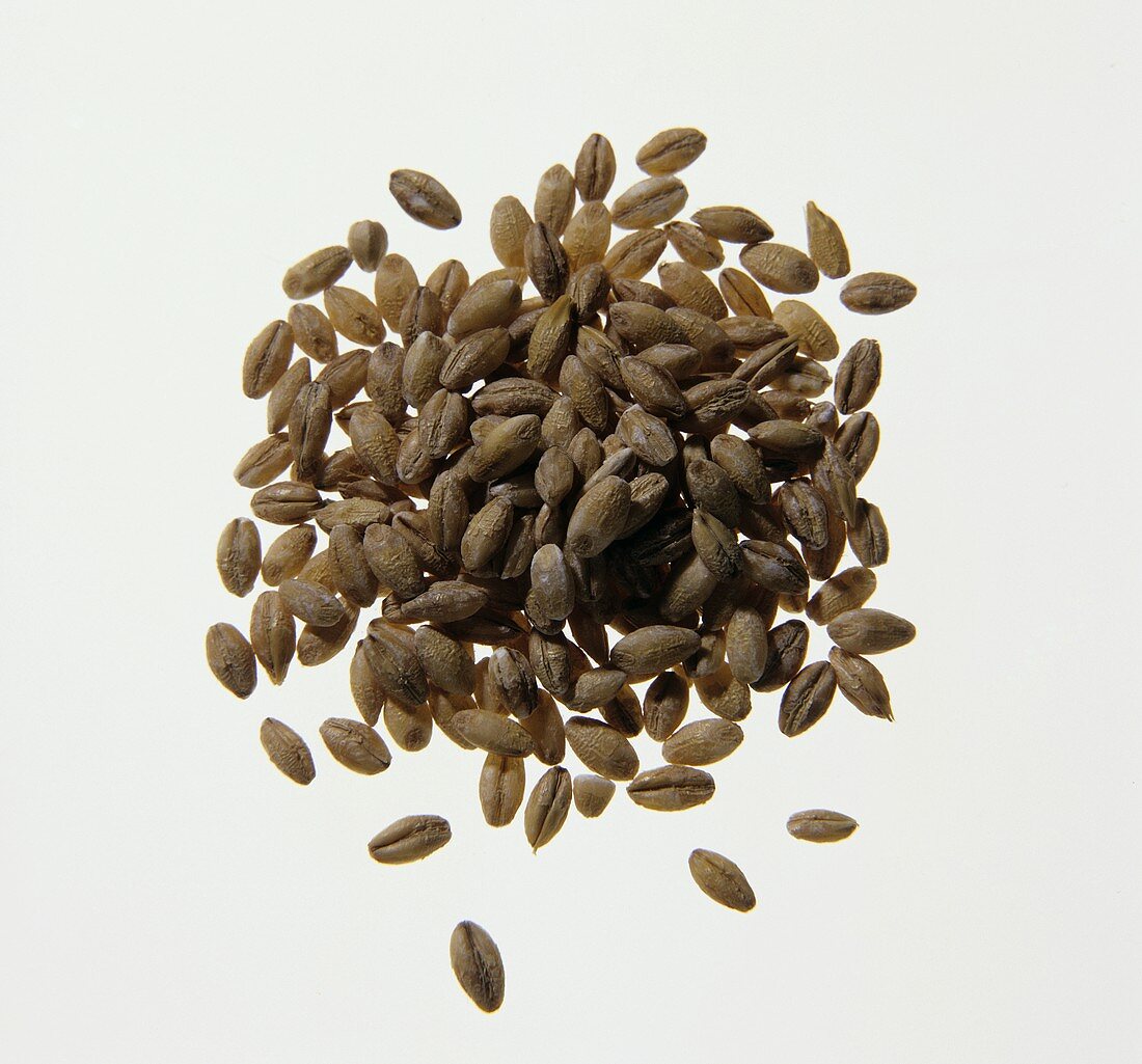Grains of Barley