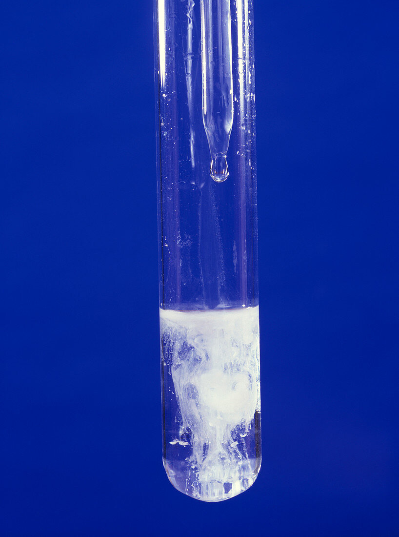 Sulphate ion test