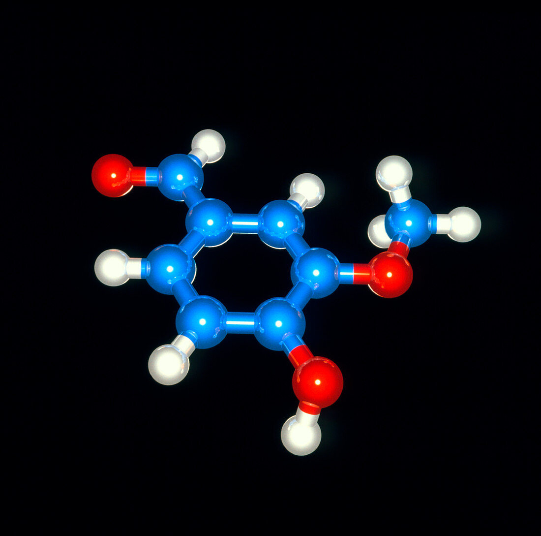 Computer model of a molecule of vanillin