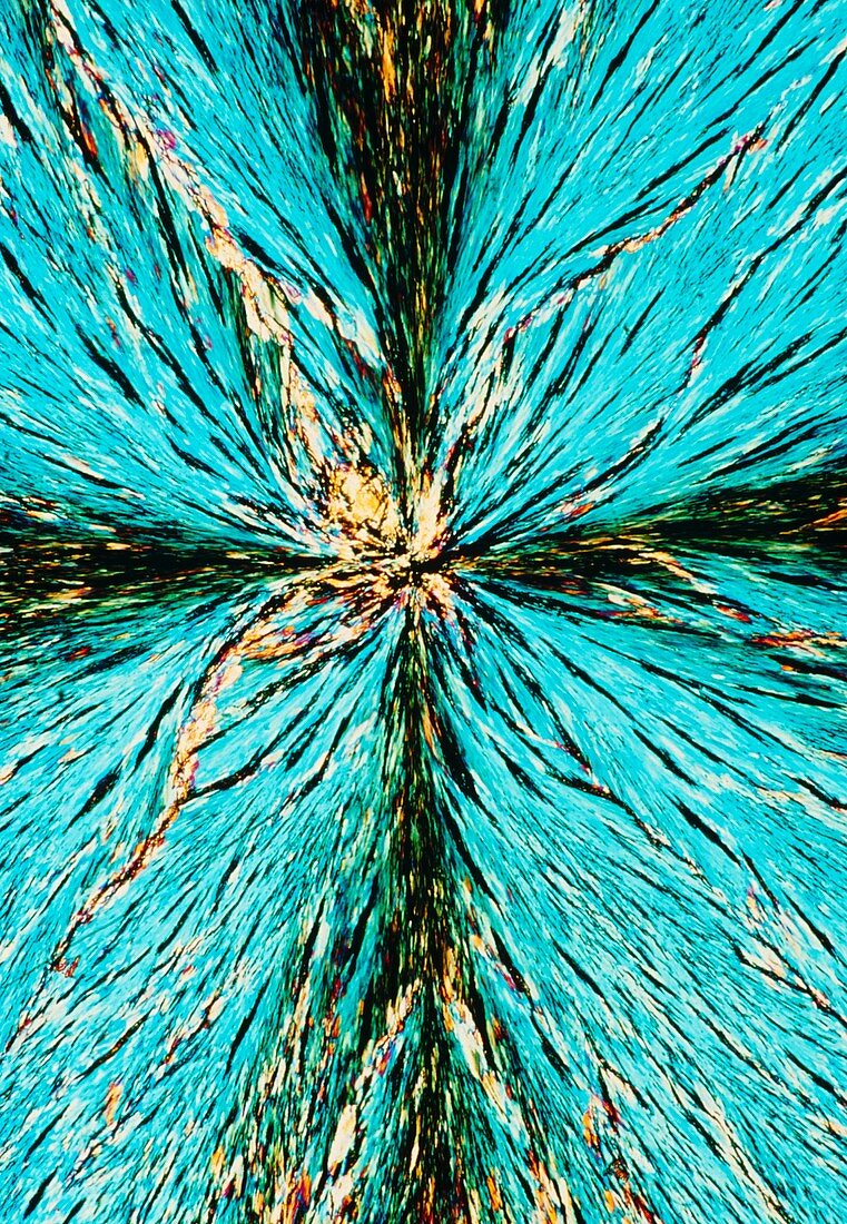 Polarised LM of crystals of Menthol