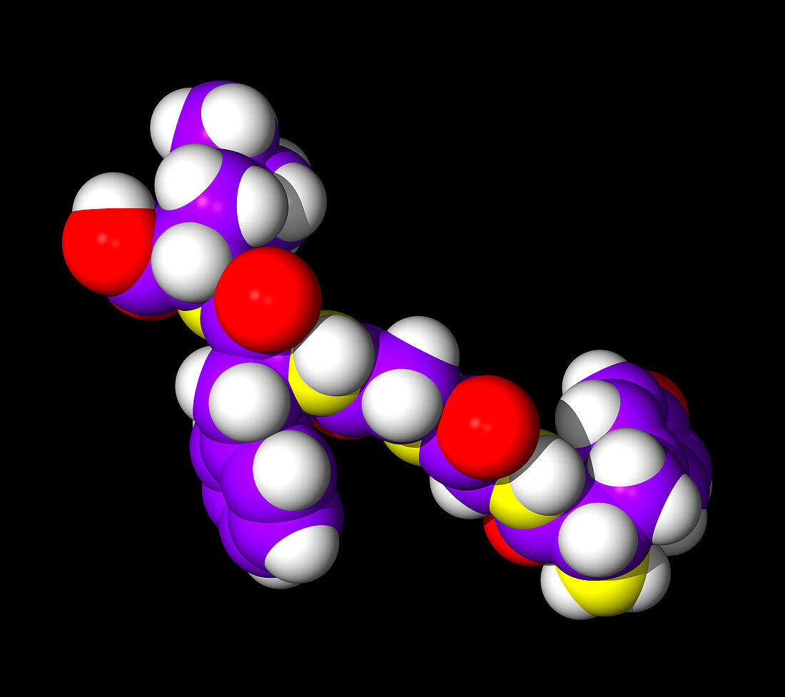 Enkephalin molecule