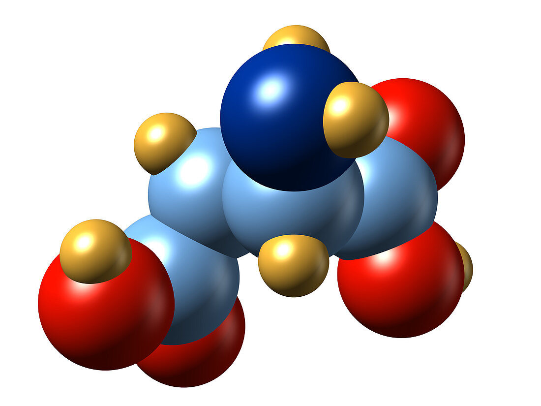 Aspartic acid,molecular model